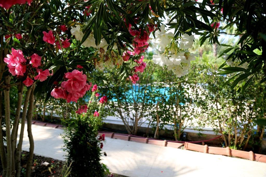 أدراسان Arkadas Otel المظهر الخارجي الصورة